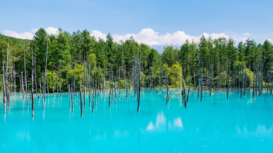 HOKKAIDO PREFECTURE