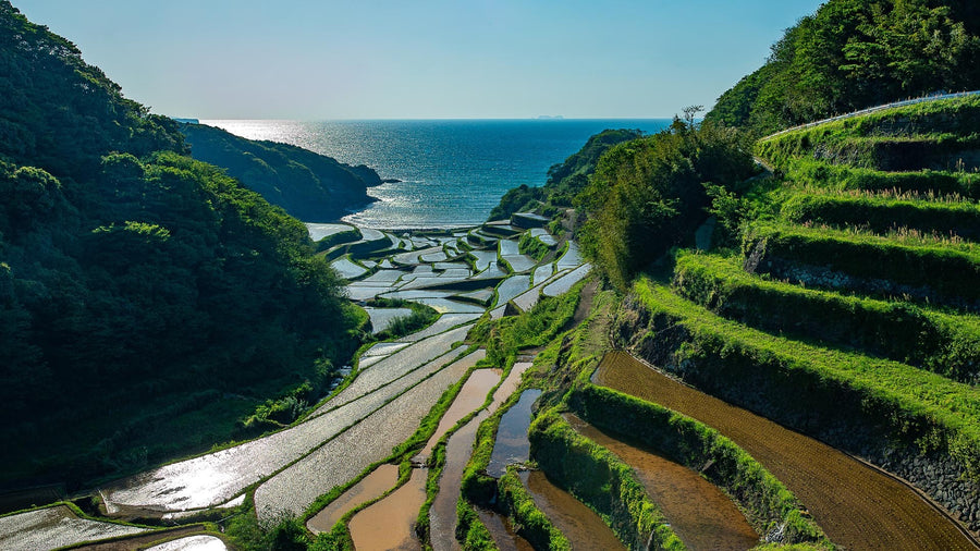 Saga Prefecture