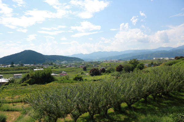 Yamanashi Prefecture
