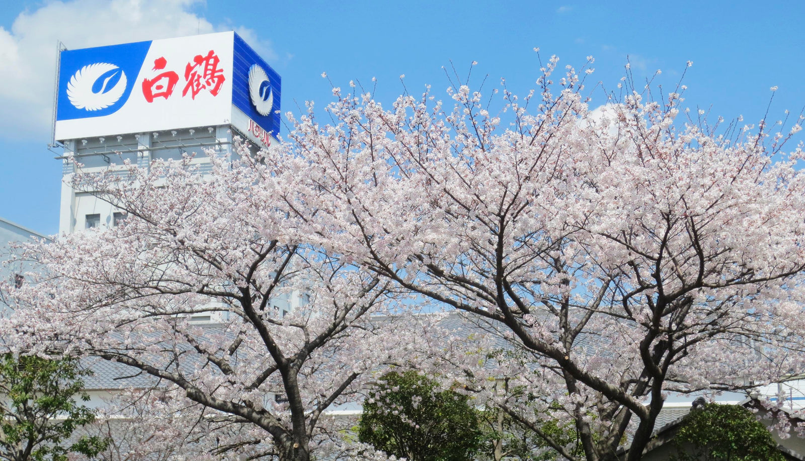 Hakutsuru Brewery