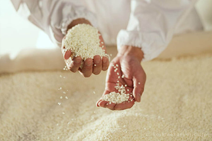 Water and Rice