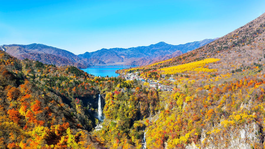 Tochigi Prefecture