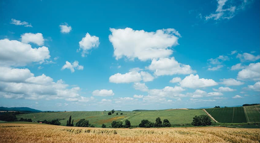 Tochigi Prefecture