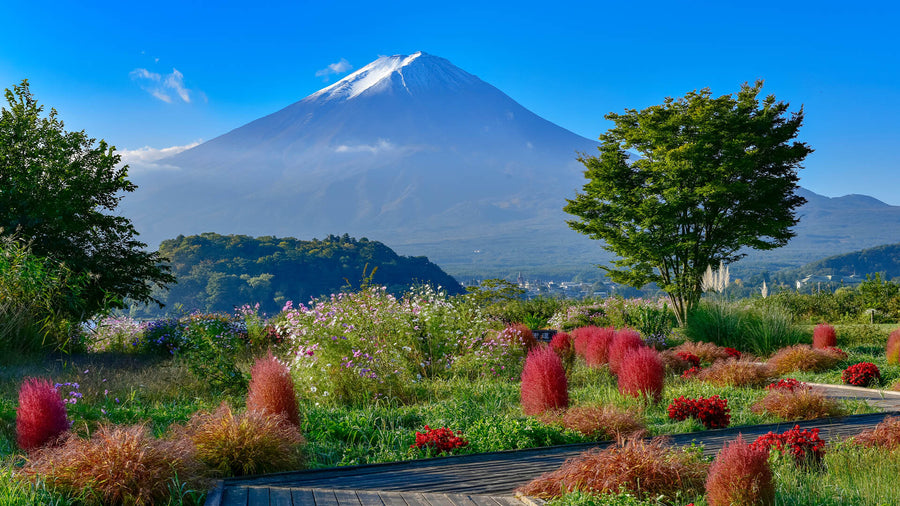 Yamanashi Prefecture
